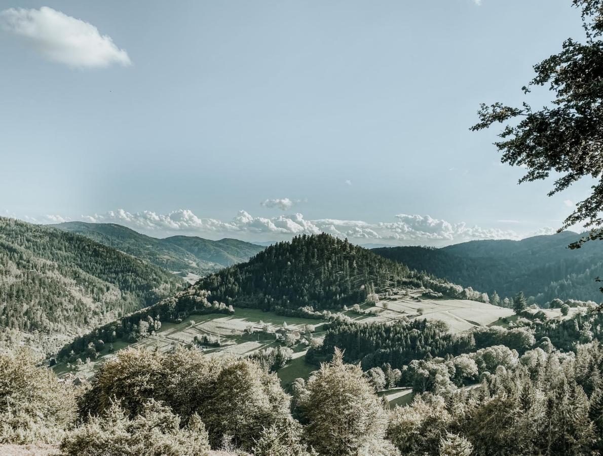 Lieblingsort - Cosy Black Forest * Neuenweg