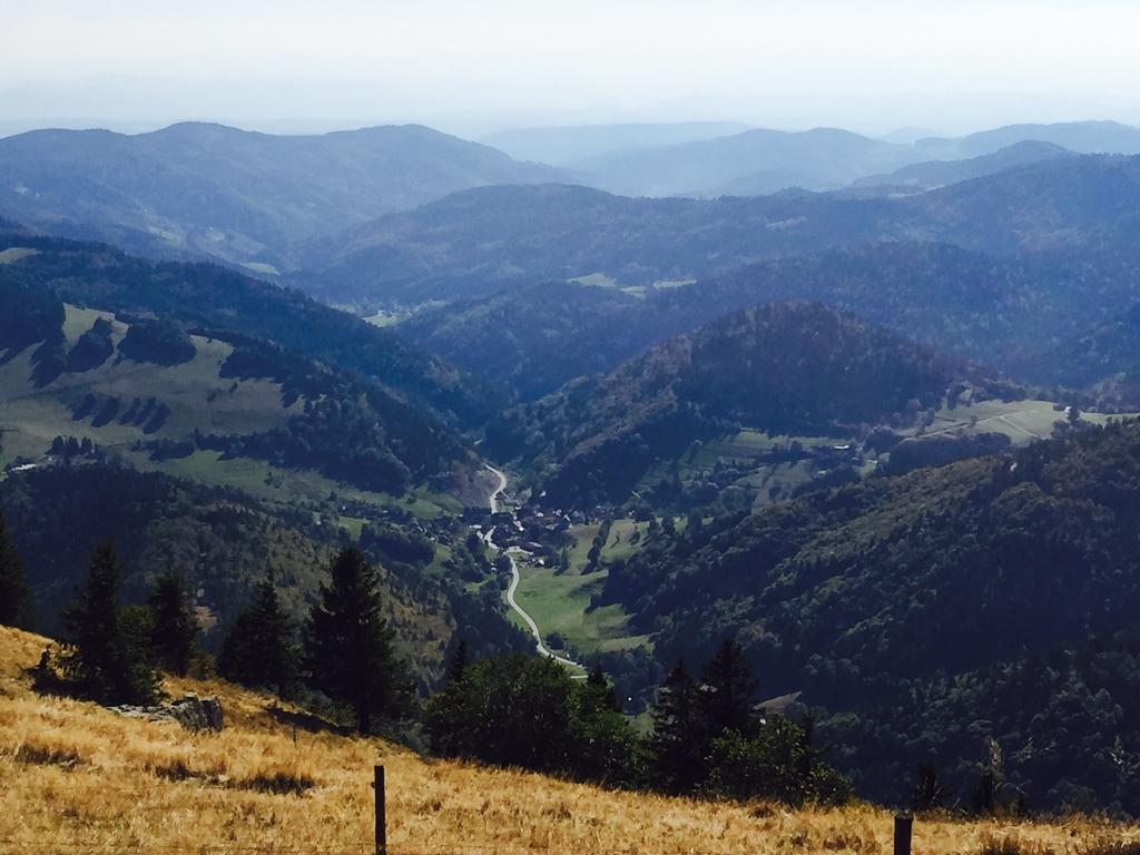 Apartment Lieblingsort - Cosy Black Forest *