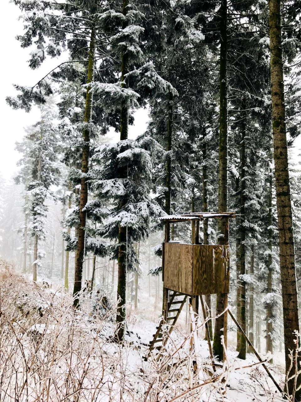 Lieblingsort - Cosy Black Forest *