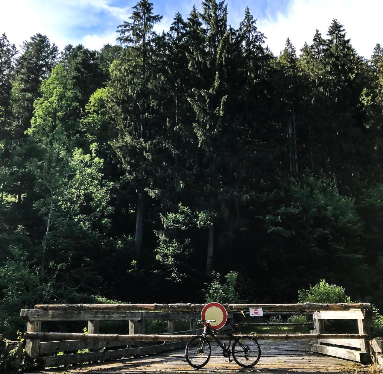 Lieblingsort - Cosy Black Forest